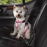 Dog Harness - Pink Paws Car Harness -Small / Medium