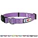 Pawtitas Reflective Dog Collar Adjustable Dog Collars for Small Dogs Puppy Collar Small Dog Collar Orchid Purple Dog Collar