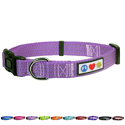 Pawtitas Reflective Dog Collar Large Purple Orchid Inch - Main Image