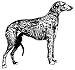 2.25 inch (58mm) Round Badge Style Fridge Magnet Line Drawing Scottish Deerhound