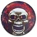 トーキング グラス コースター スケルトン Talking Glass Coaster - Skull / 802282