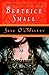 Skye O'Malley: A Novel (O'Malley Saga)