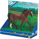 Blue Ribbon Collection- Thoroughbred