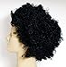 Rubie's Costume Co Humor S Mid Length Afro Black Wig
