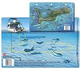 Stingray City Dive Site in Grand Cayman, Cayman Islands Waterproof 3D Dive Site Card