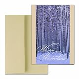 Heaven & Nature - Recycled Content Boxed Holiday Christmas Cards