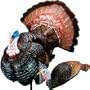 Carry-Lite Prettyboy and Pretty Girl Decoy Kit