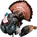 Carry-Lite Prettyboy and Pretty Girl Decoy Kit
