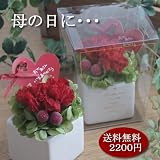 母の日ギフトプリザーブドフラワー いつもありがとう