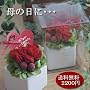 �y��̓��M�t�g�z�v���U�[�u�h�t�����[�@�������肪�Ƃ�