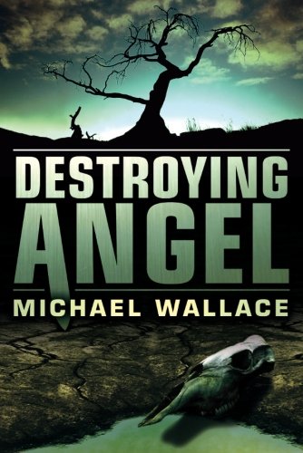 Destroying Angel (Righteous Series)