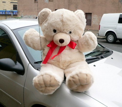 51rxquS4NML LARGE 36 SOFT BIG HIGH QUALITY TEDDY BEAR   COLOR: WHITE