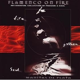 Flamenco On Fire