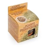 Détails sur le produit