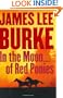 In the Moon of Red Ponies: A Novel