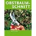 Obstbaumschnitt. (blv-garten plus)