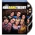 Big Bang Theory: Season 8