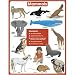 CDPCD144004 - Chartlet, Science Set, 17x22, 9 Count