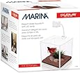 Marina CUBUS Glass Betta Kit
