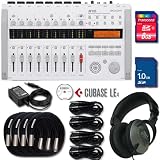 51ryZ%2BvwC L. SL160  Zoom R16 Recorder/Interface/Controller with 8 GB SDHC Card, Samson HP10 Headphones, and Sonic Sense Cables