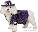Pet Pimp Dog Halloween Costume For Small Dogs