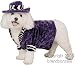 Pet Pimp Dog Halloween Costume For Small Dogs