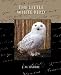The Little White Bird (Paperback)