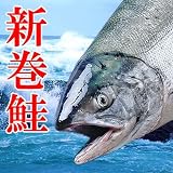 北海道大津産 天然新巻鮭 2.5～3kg