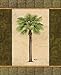 2 East Indies Palm Tree Art Prints Tropical Home Decor 8x10