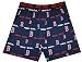 boxer15 - Boston Red Sox Text Logo AllOver boxer shorts