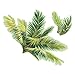 Wallies Wall Decals, Breezy Palm Tree Wall Sticker