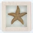 Tan Starfish Bathroom Shadow Box Wall Art