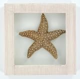 Tan Starfish Bathroom Shadow Box Wall Art
