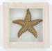 Tan Starfish Bathroom Shadow Box Wall Art