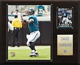 NFL David Garrard Jacksonville Jaguars Player Plaque