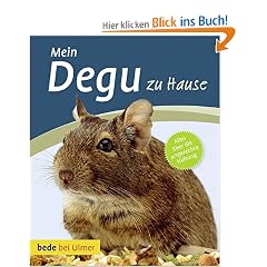 Mein Degu zu Hause