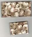 Checkbook Cover Debit Set Garlic Bulbs