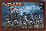 High Elves: Dragon Princes of Caledor (2010)