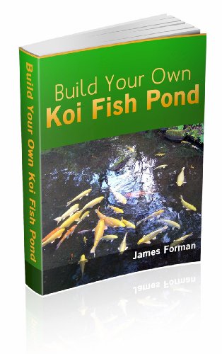 build a koi pond