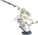 Souyokusha Fate/Extra CCC: Saber Bride PVC Figure (1:7 Scale)