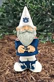Auburn University Garden Gnome