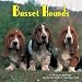 Basset Hounds 2009 Wall Calendar 12 X 12