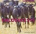 Wildebeests (Safari Animals)