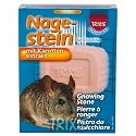 Gnawing Mineral Stone Treat For Chinchillas or Rats