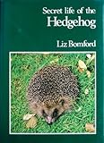 Secret life of the hedgehog