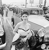 Image de Stars and Cars of the 50s