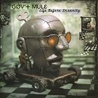 Gov't Mule - Life Before Insanity Vinyl 2-LP Import 2013 (PRE-ORDER 5-27)