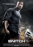Snitch (2013), Movie Poster Size 29.7x42, Dwayne Johnson Nadine Velazquez Susan Sarandon