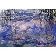 Claude Monet (Nympheas) Fine Art Print Poster - 24x36