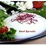 Beet/Beetroot Sprouting-600 Seeds- Vibrant Red Sprouts!